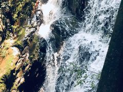 -藏龙百瀑风景区