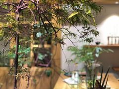 -柴务处·柴犬主题狗咖