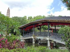 -顺峰山公园