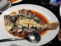 肉汁蒸东海大黄鱼-炳胜品味(海印总店)