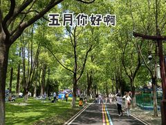 -堤角王师傅牛骨头