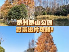 -泰州凤城河风景区-泰山公园