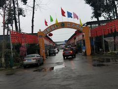 -金科花卉市场