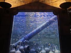 -新加坡水上探险乐园