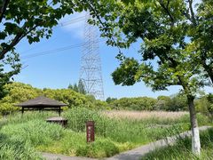 -长田漾湿地公园
