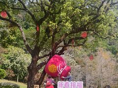 -云溪植物园