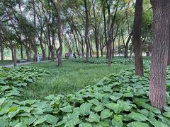 -玲珑塔公园