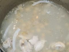 -探窝·竹笙椰子鸡(杨箕店)