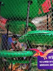 -恐龙探索乐园(磁器口店)