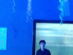 -梦幻海洋王国(吾悦广场张家港店)