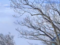 -五女山景区