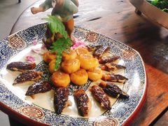 -百丈园龙江啫神馆