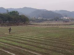 -红山村