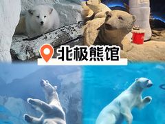 -珠海长隆海洋王国