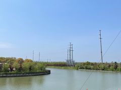 -上海海湾国家森林公园