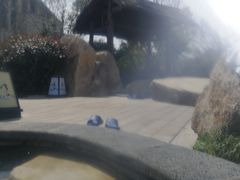 -溧阳天目湖天沐温泉