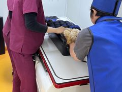 -美联众合动物医院·24h转诊中心