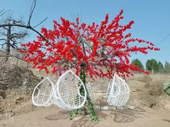 -南山特攻真人CS户外露营轰趴拓展基地