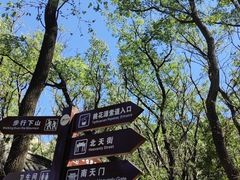 -万达广场(泰安泰山店)