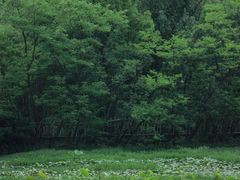 -贵阳市花溪国家城市湿地公园