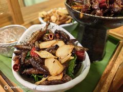 -紫滇源云南生态菜(丹凤街店)