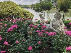 -上海鲜花港