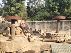 -西安秦岭野生动物园