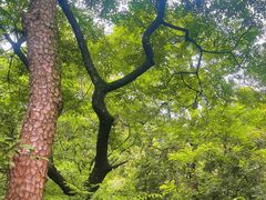 -飞霞风景名胜区