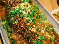 -树厨贵州菜(大十字店)