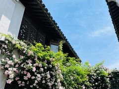 -惠山古镇·寄畅园