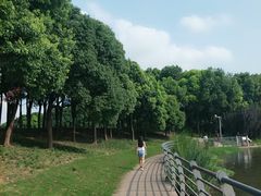 -美兰湖景区