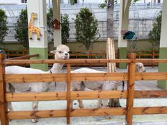 -华谊兄弟（长沙）电影小镇