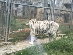 -黔灵山公园-南门售票处