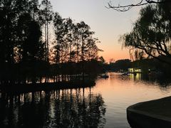 -上海共青森林公园