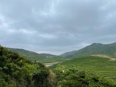 -嵛山岛