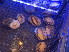 -OPEN開全日自助餐厅·西餐·海鲜(佛山希尔顿酒店)