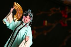 -胭脂猫京剧摄影