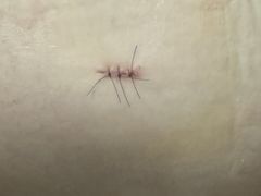 -上海中医药大学附属曙光医院(东部)