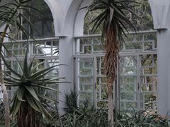 -深圳仙湖植物园
