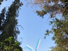 -华侨城湿地公园