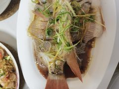 -阿姨来了家政·月嫂育儿嫂保姆(黄浦区店)