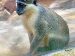 -泉州海丝野生动物世界