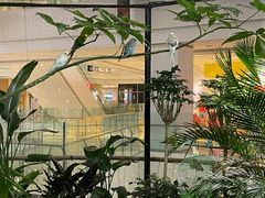 -LuOne凯德晶萃广场(徐家汇路店)