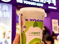 -一只酸奶牛(八一路店)