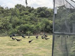 -竹泉村旅游度假区