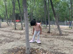 -西青郊野公园