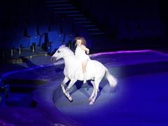 -珠海横琴长隆《卡卡虎奇遇记》