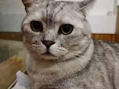 -隅cafe(傅厚岗店)