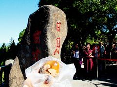 -金盆阿嬷香菇茶叶蛋(玄光店)