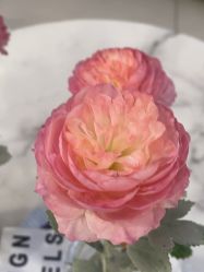 -八佰伴8008星级形象店